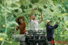 澳门永利赌场_澳门永利网址_澳门永利网站_建立农民专业合作、供销合作、信用